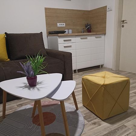 Vikendica Apartments Dunav Ms Celarevo Zewnętrze zdjęcie