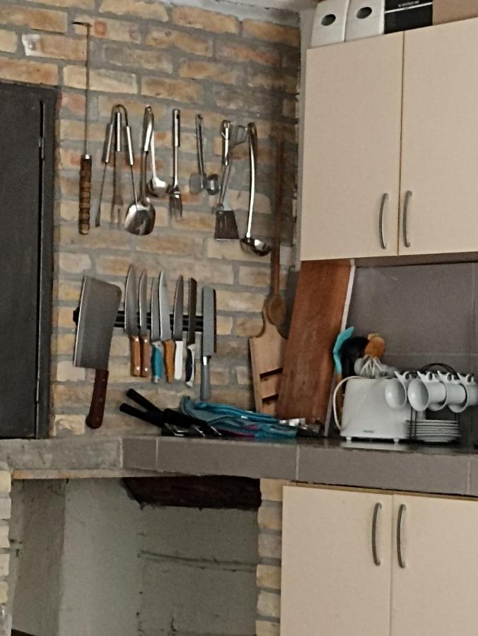 Vikendica Apartments Dunav Ms Celarevo Zewnętrze zdjęcie