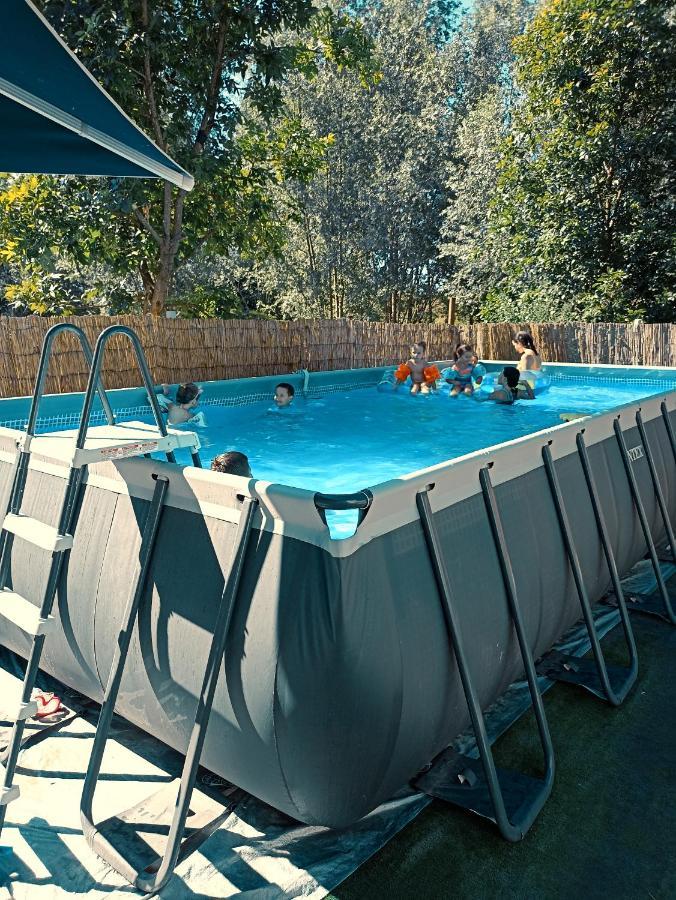 Vikendica Apartments Dunav Ms Celarevo Zewnętrze zdjęcie