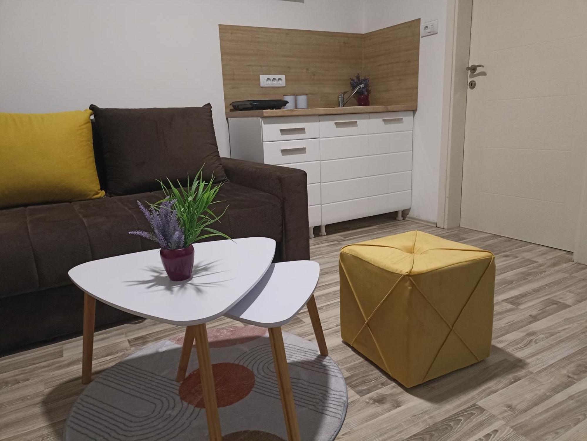 Vikendica Apartments Dunav Ms Celarevo Zewnętrze zdjęcie