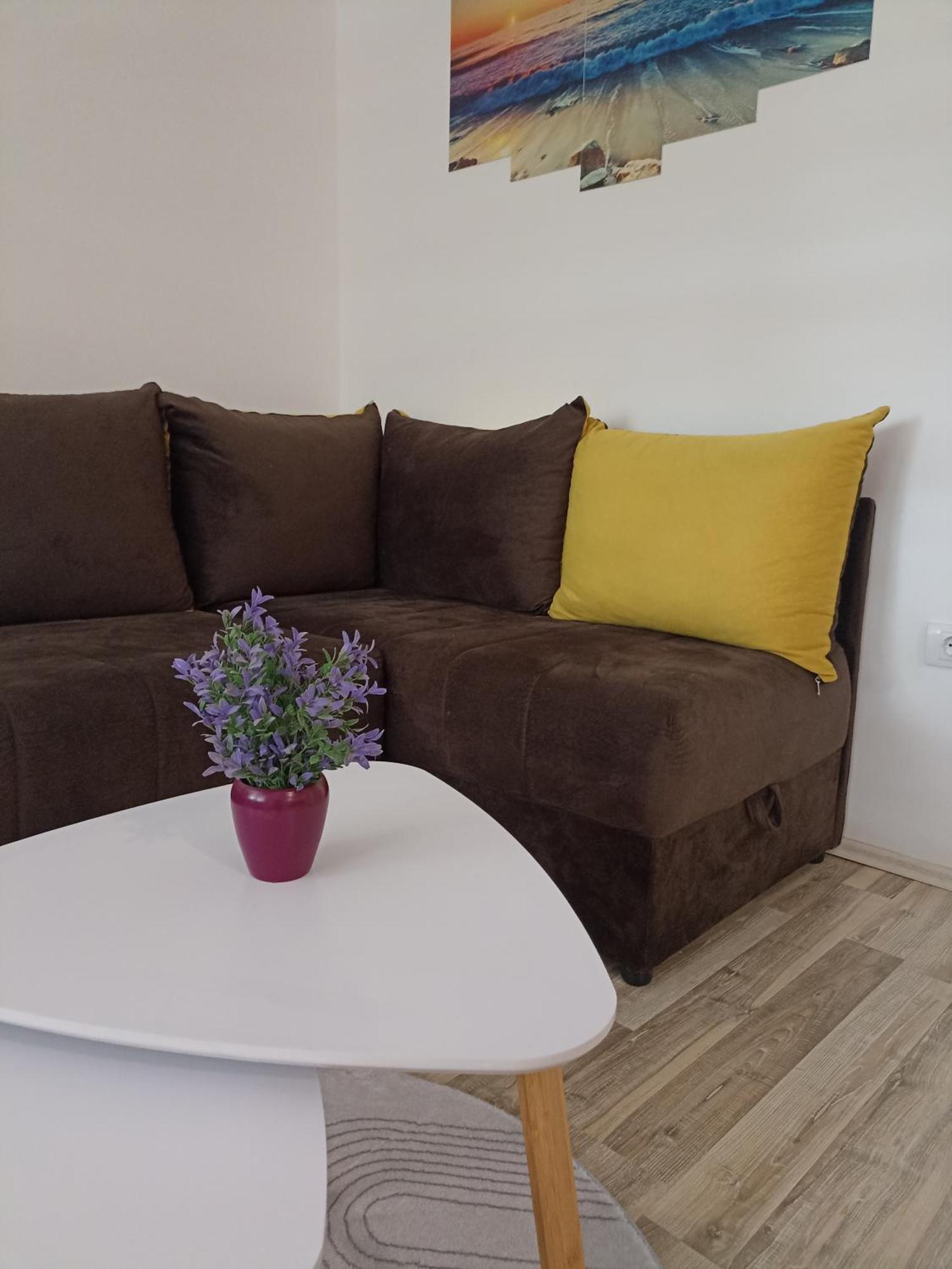 Vikendica Apartments Dunav Ms Celarevo Zewnętrze zdjęcie