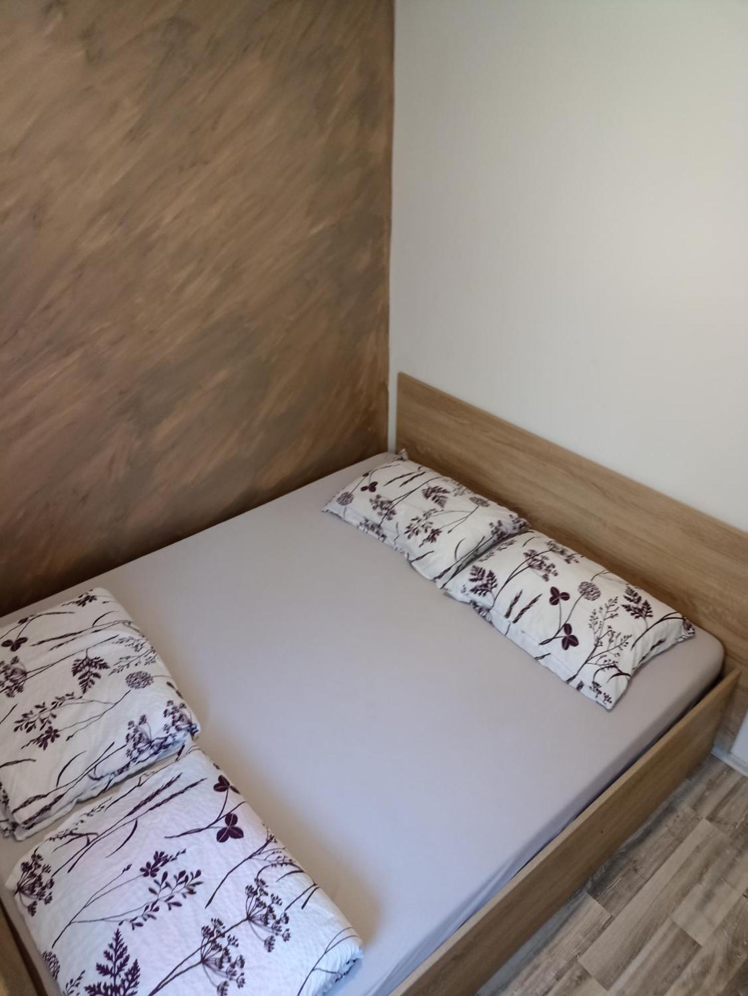Vikendica Apartments Dunav Ms Celarevo Zewnętrze zdjęcie